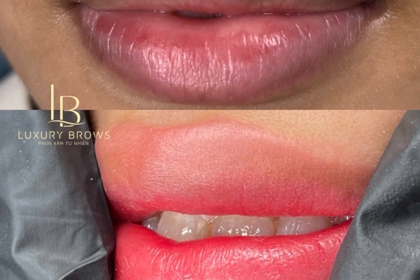 KHÓA HỌC MÔI CHUYÊN SÂU – KỸ THUẬT ĐỘC QUYỀN LUXURY BROWS